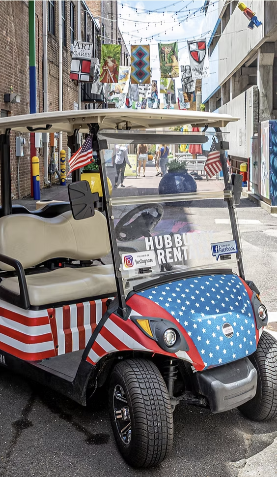 hubbuggy